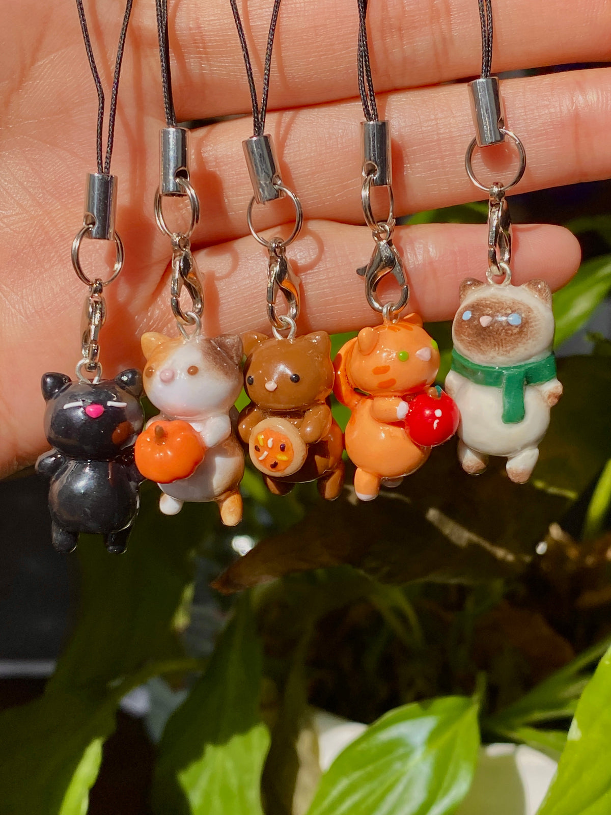 Fall Collection 🎃🍂