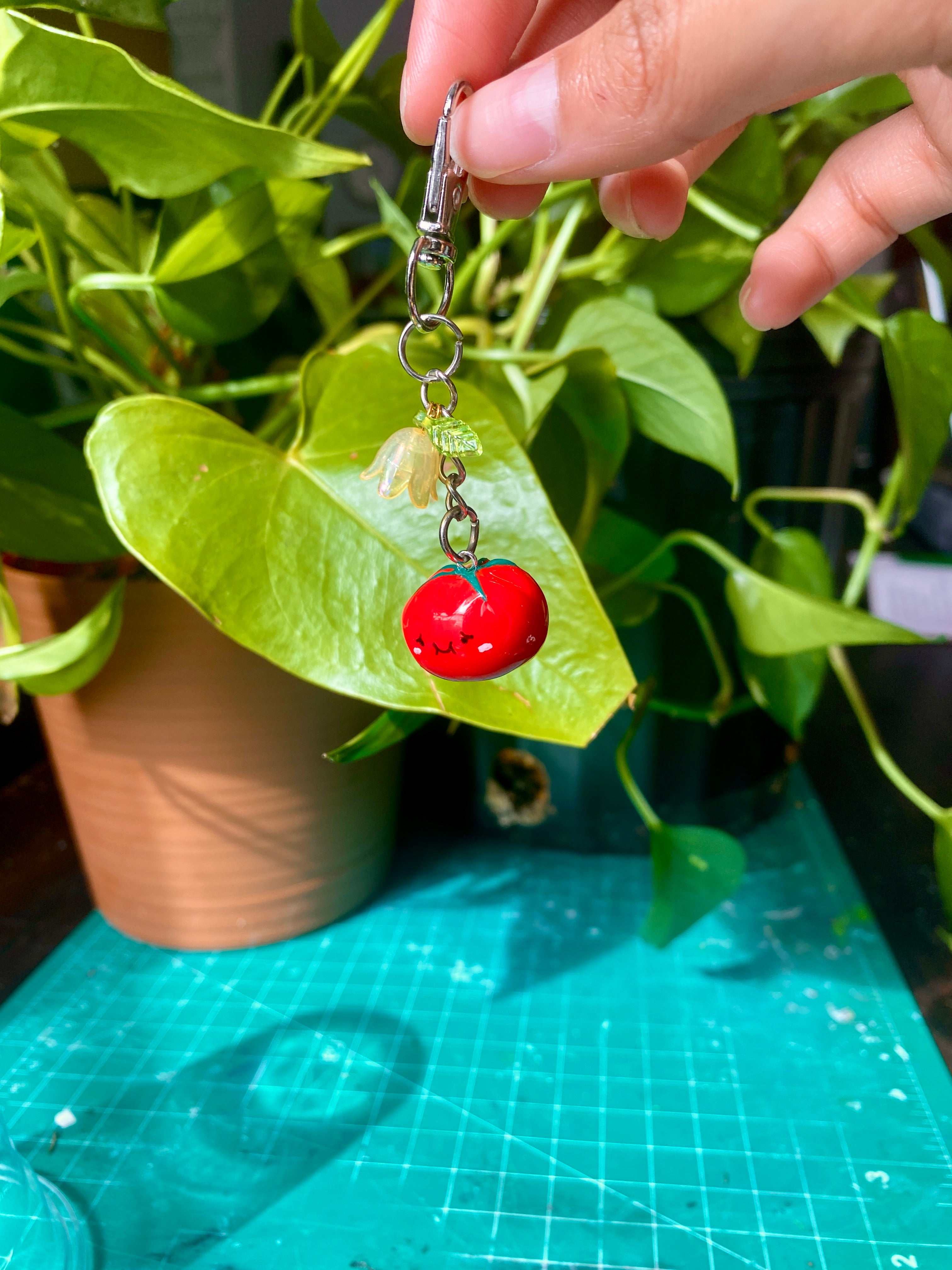 Tommy the Timid Tomato