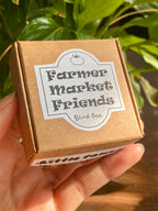 Farmer Market Friends Blind Box